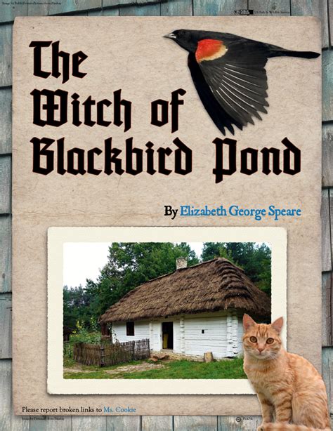 Analyzing Language and Style in The Witch of Blackbird Pond: A Sparknotes Perspective